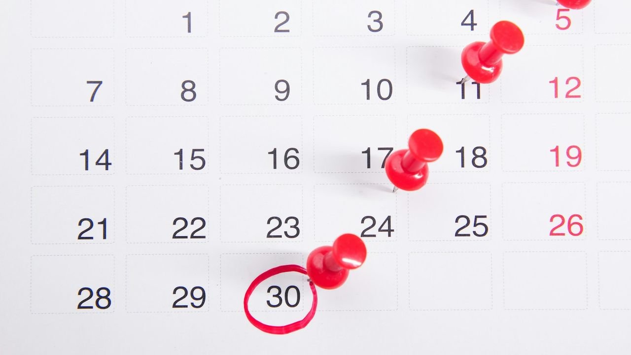 Calendar with red pins marking a year of planning