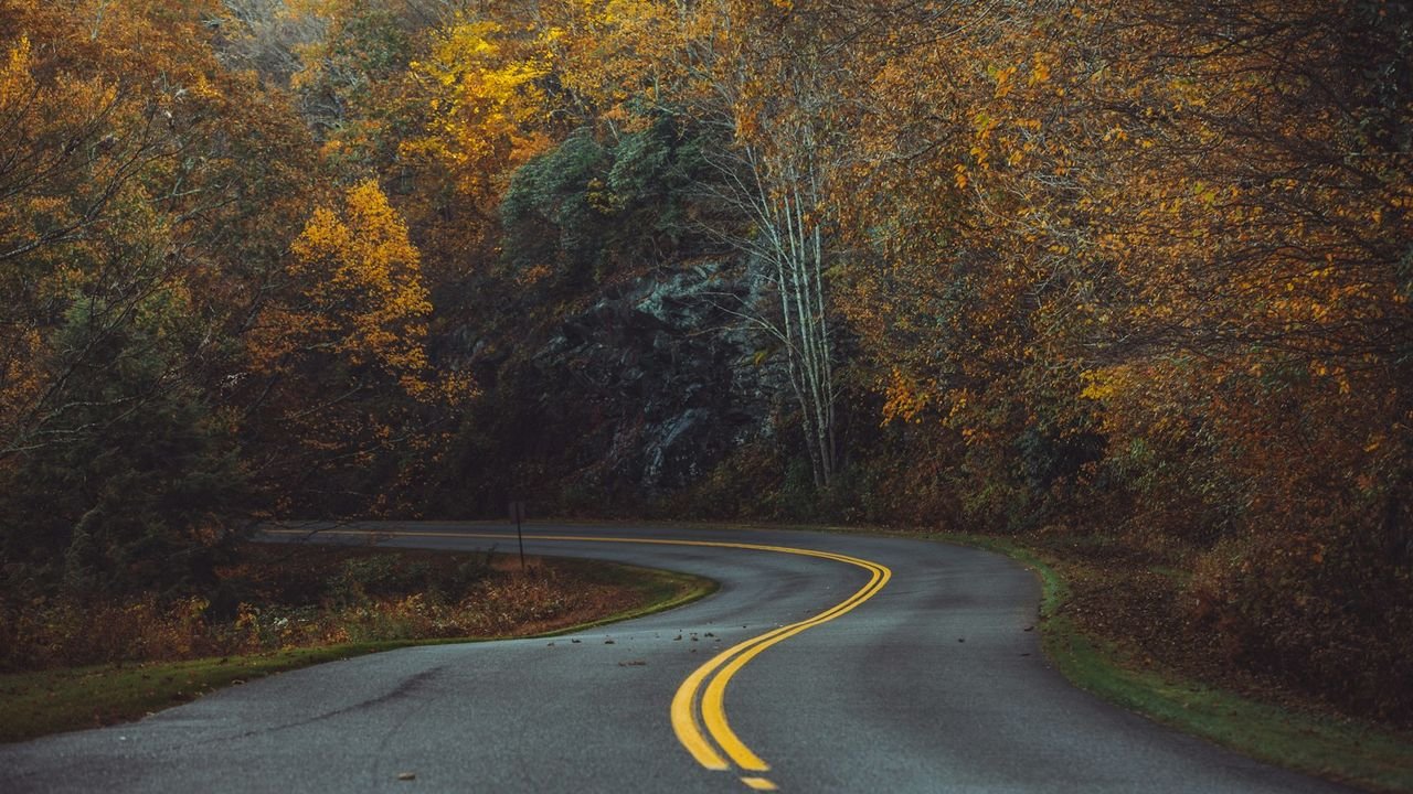 Winding road through the woods, representing the choice of growth path